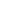 Primary Button Icon